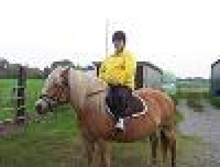 Toos  Lindeboom