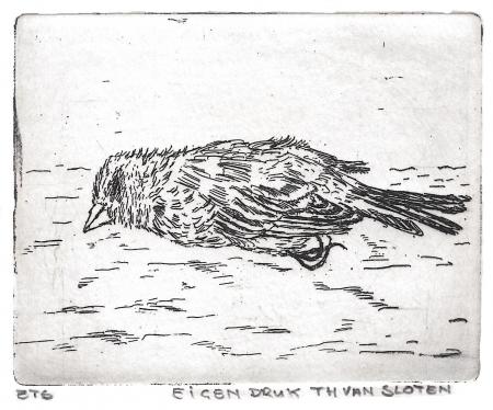 Truus Kilian-van Sloten