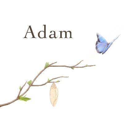 Adam Joas Abspoel