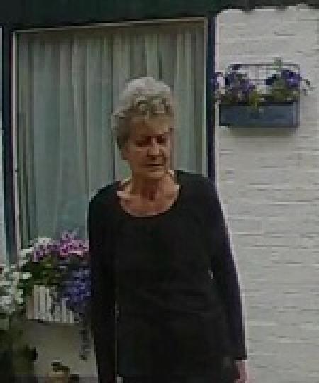 Sien Schuttinga - Schierbeek